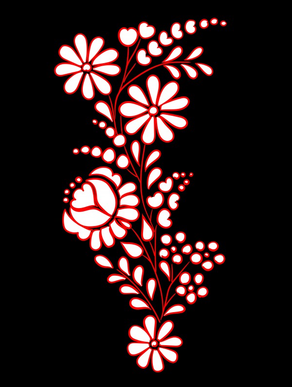 hungarian tricolor flower by Chino20